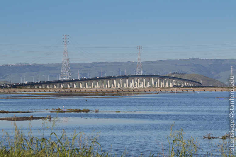 baylands